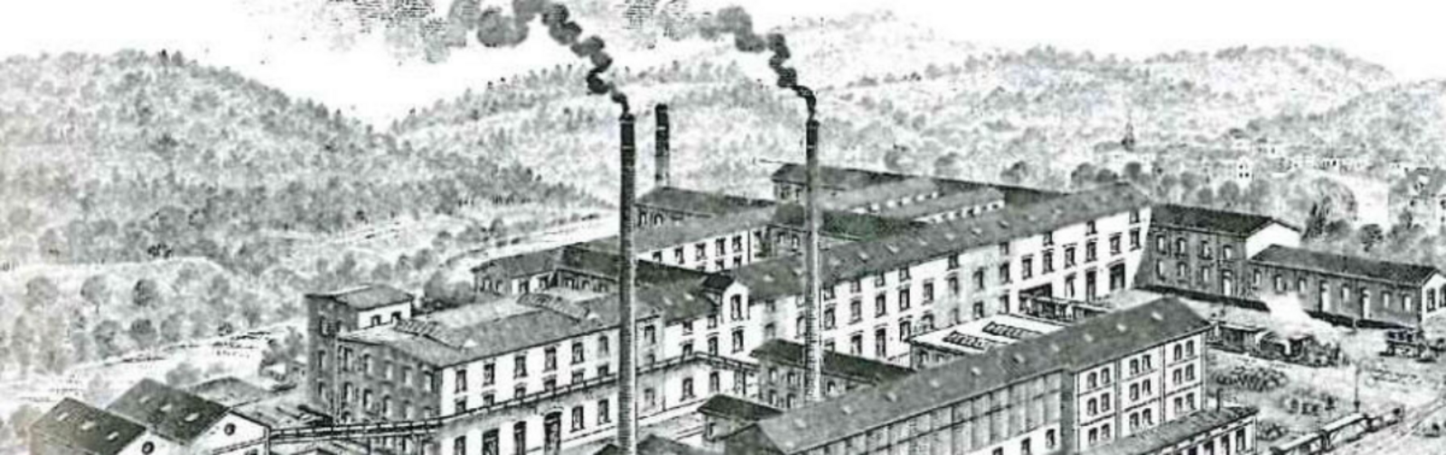 Takeover and transformation: Geistlich lays the foundation for innovation